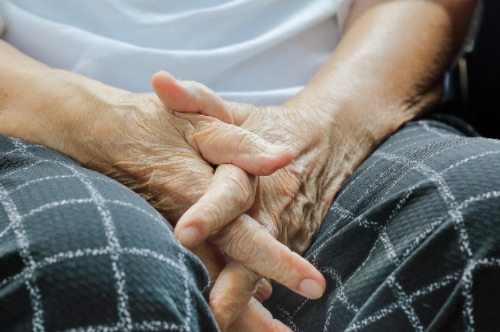 肌肉質(zhì)量評估