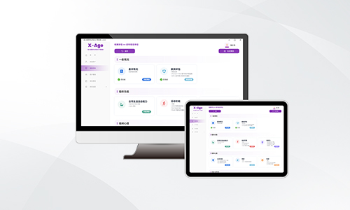老年綜合能力評(píng)估工具